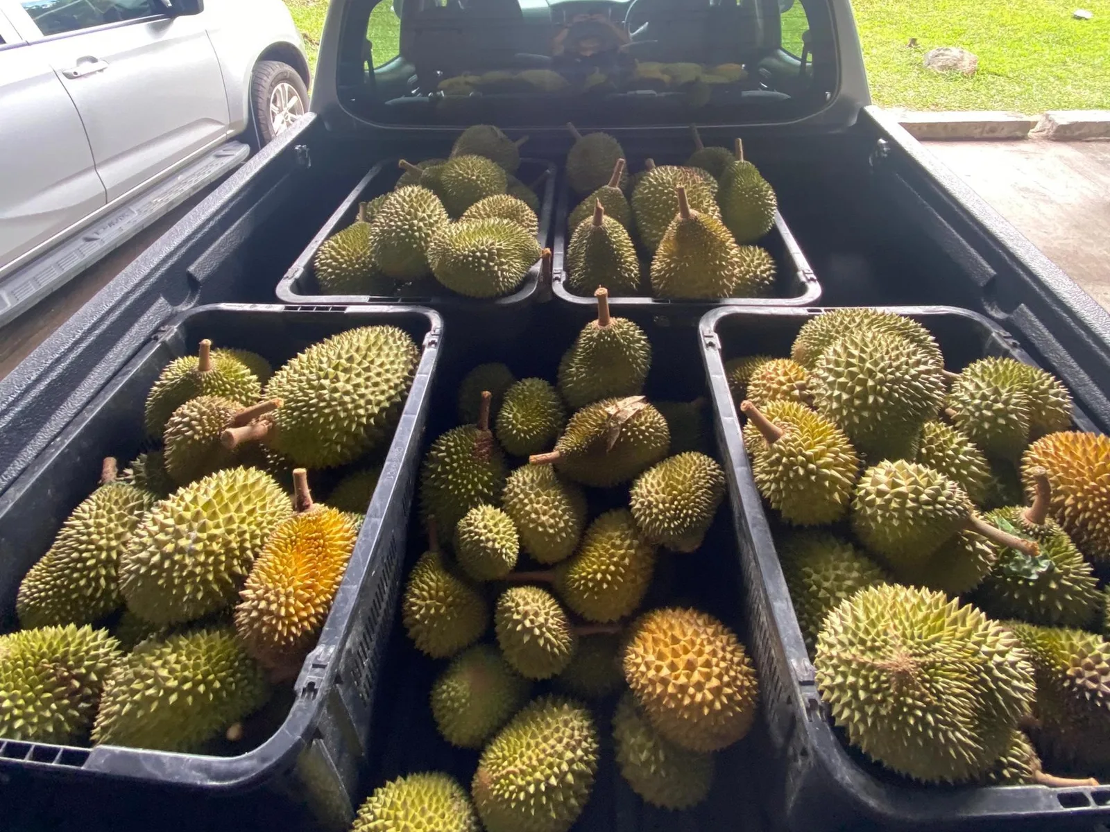 Musim tuaian