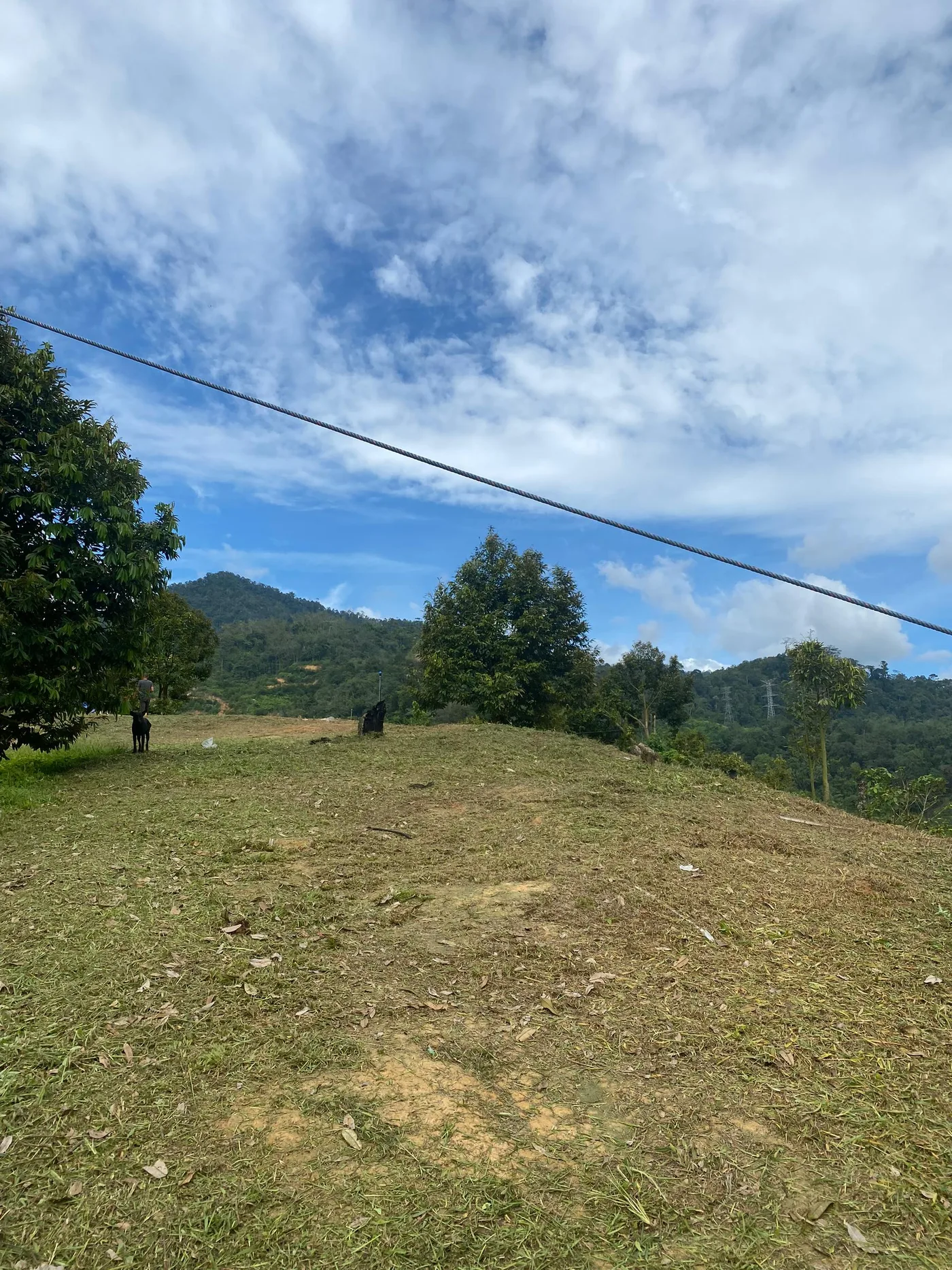 Ladang